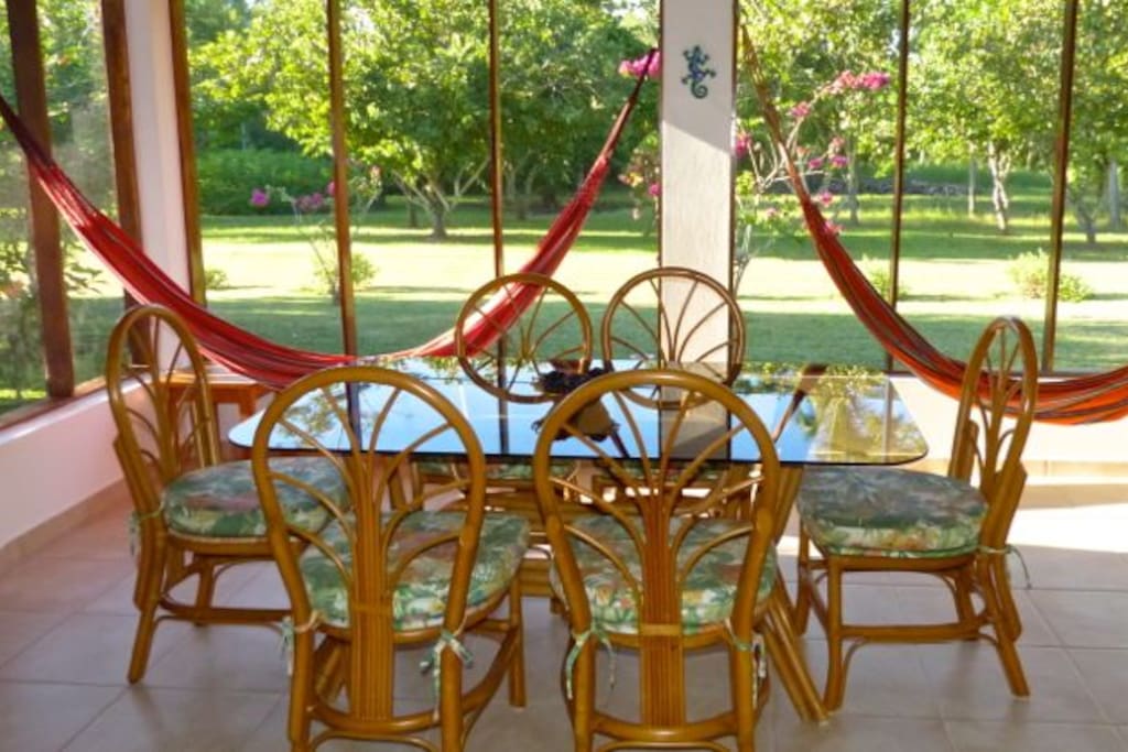 View to the back yard gardens