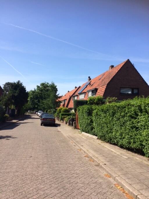 streetview (forest begins right at the end of the street)