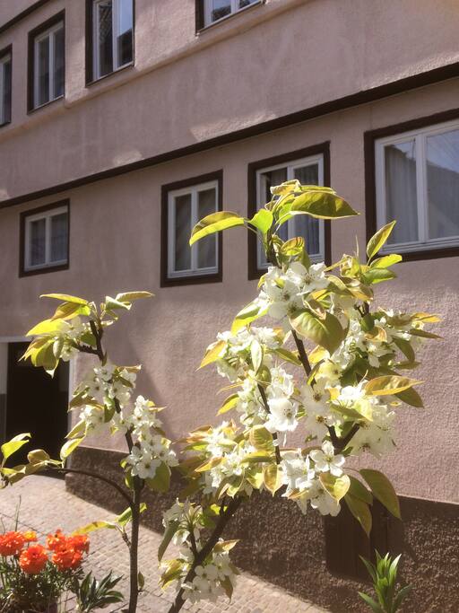 Biergasse 5