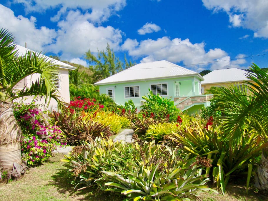 choose any villa
