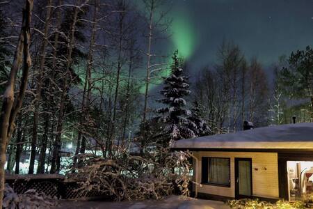 The Blueberry Studio No. 1