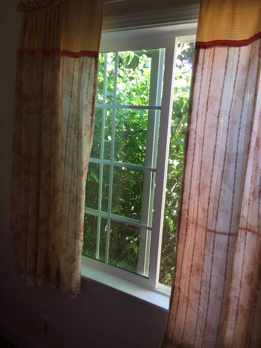 New window