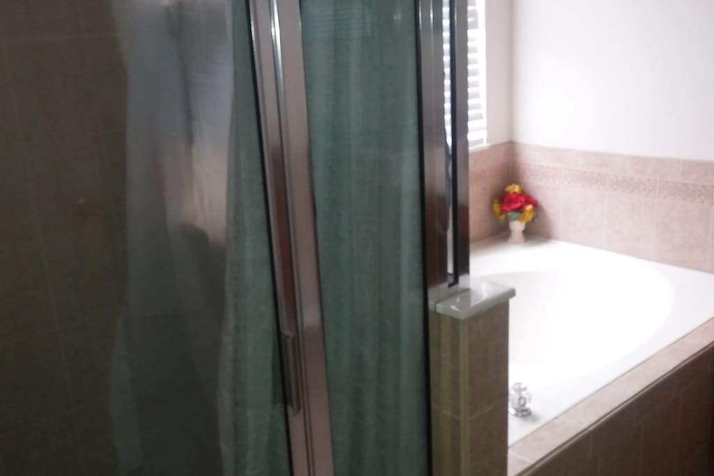 Walk in shower and tub