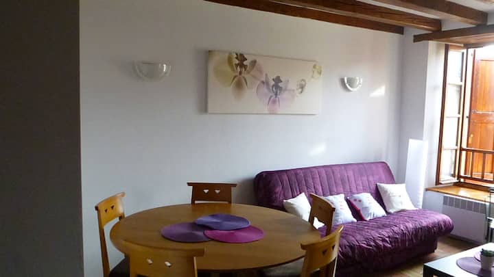 סלון עם ספה נפתחת.