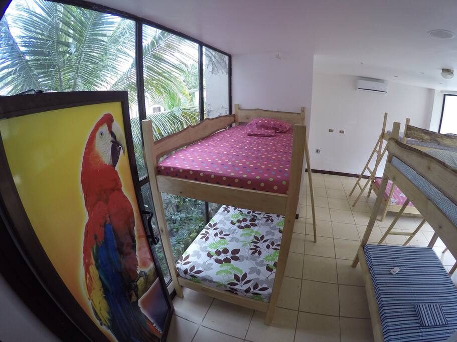 The Dorm