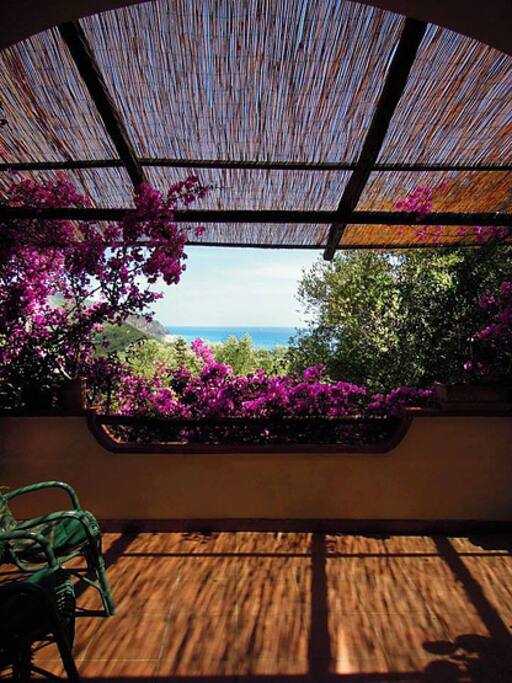 Panorama della Spiaggia del Mingardo// Our view of the Mingardo beach