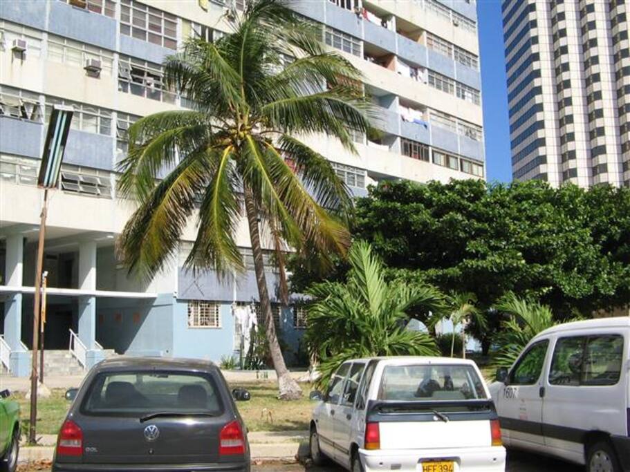 PARQUEO DEL EDIFICIO