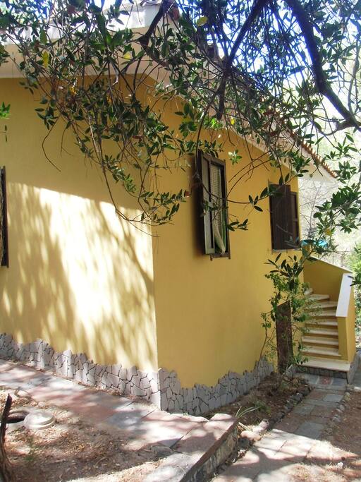 esterno della casa