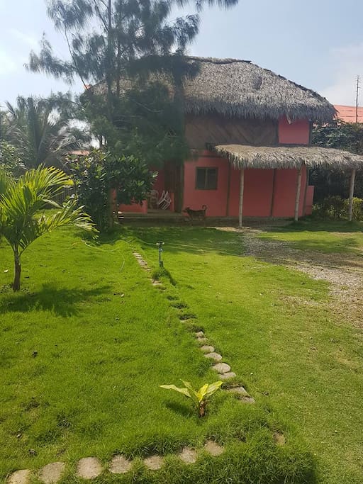 View