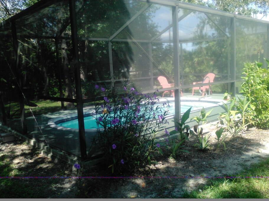 Relax in the pool
