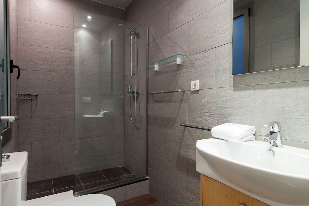 bathroom, shower, toilet, mirror