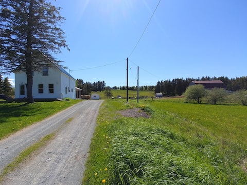 Popular Airbnb listing: Wild Orchid Farm in Nova Scotia