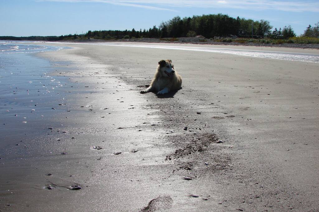 Private beach access.Low tide results in large sandbars.Walk the ocean floor