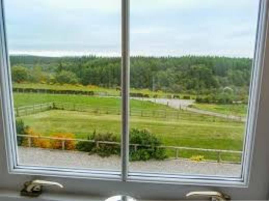View from Master Bedroom