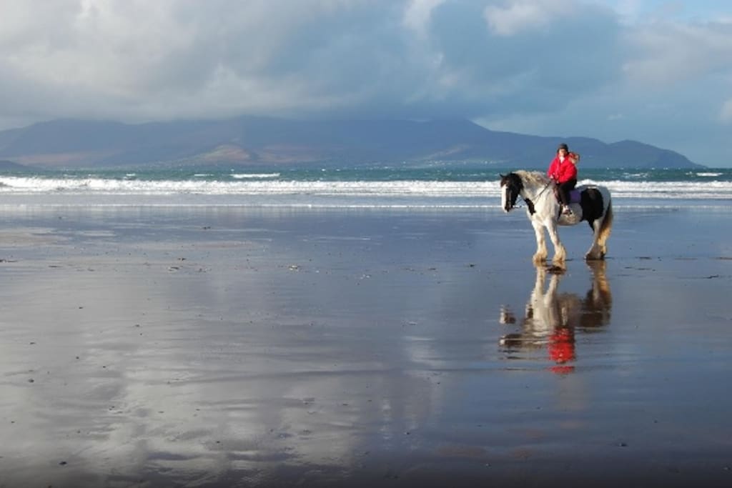 Horse Riding