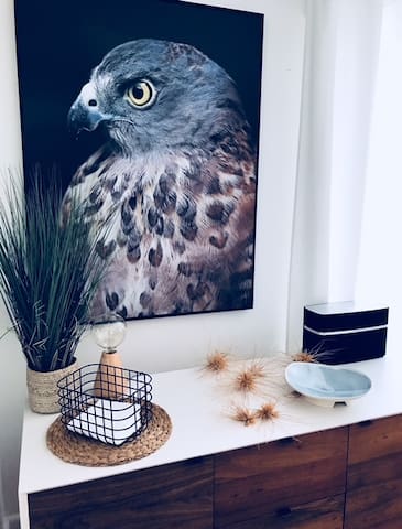 Oceanfront Coastal Retreat East Coast Tasmania gallery image 3