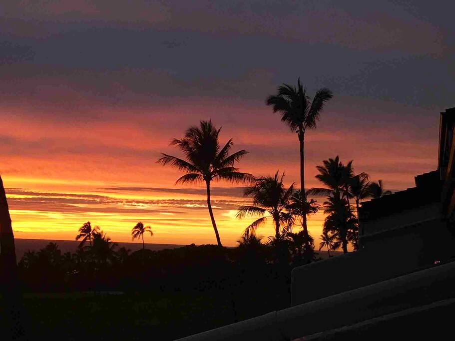 view from lanai