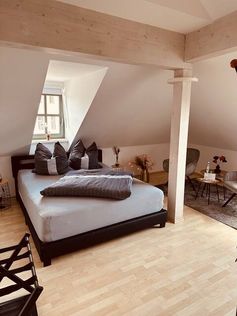 Beautiful apartment(2) in the historic old town