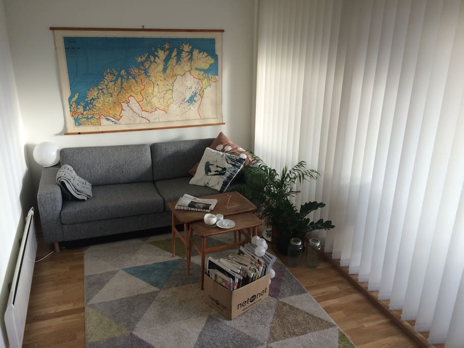 Living room. Room for two more people on the sleeping couch