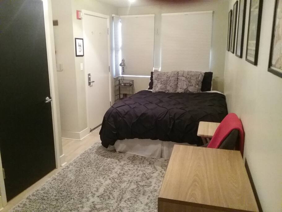Queen bed with super soft comforter, and windows for late afternoon light