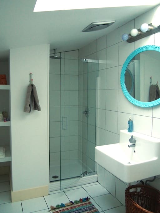 Your own private bathroom with a skylight and rain style shower head.