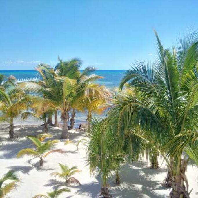 Maravillosa vista de la playa desde el balcón de la casa.