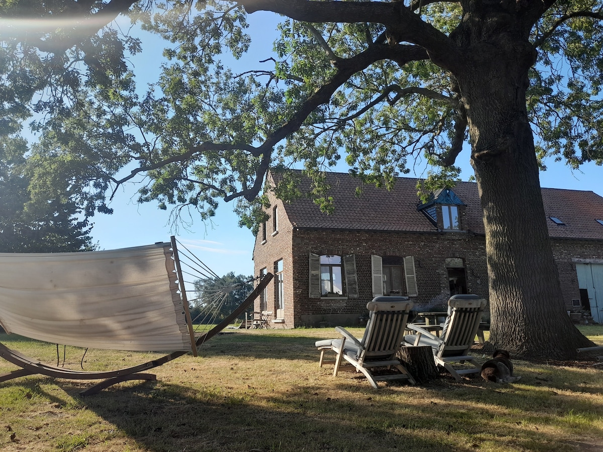 A shaded seating area features two lounge chairs and a hammock, positioned under a large tree. The rustic building in the background has multiple windows, and the surrounding grass provides a natural, tranquil setting.