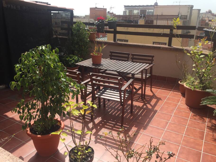 Terraza