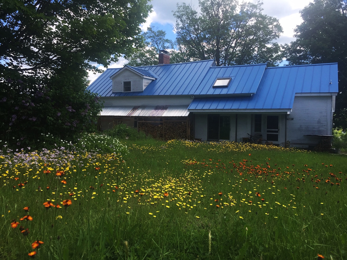 A charming farmhouse with a blue metal roof is surrounded by a vibrant field of wildflowers in various colors. The grassy area features bright orange, yellow, and white blooms, providing a lively contrast to the structure. Various trees and a partially cloudy sky complete the picturesque scene.