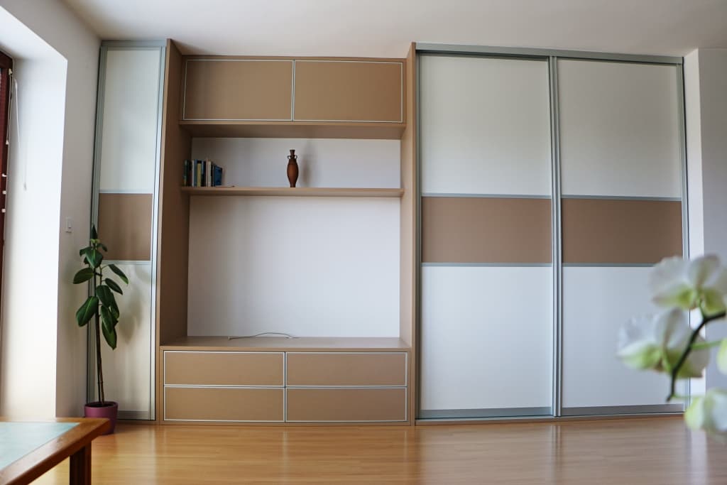 A modern living space is shown, featuring a sleek wall unit composed of light wood and white paneling. A television space is flanked by shelves displaying decorative items. A small potted plant adds a touch of greenery to the room, positioned beside the wall unit.