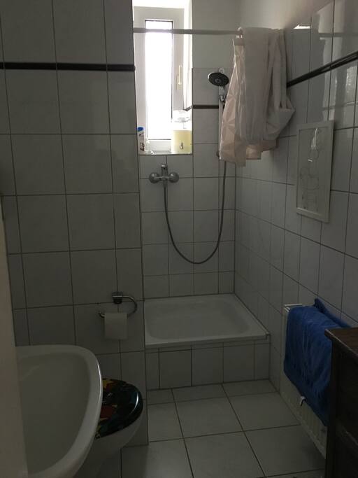 The Shower and the WC