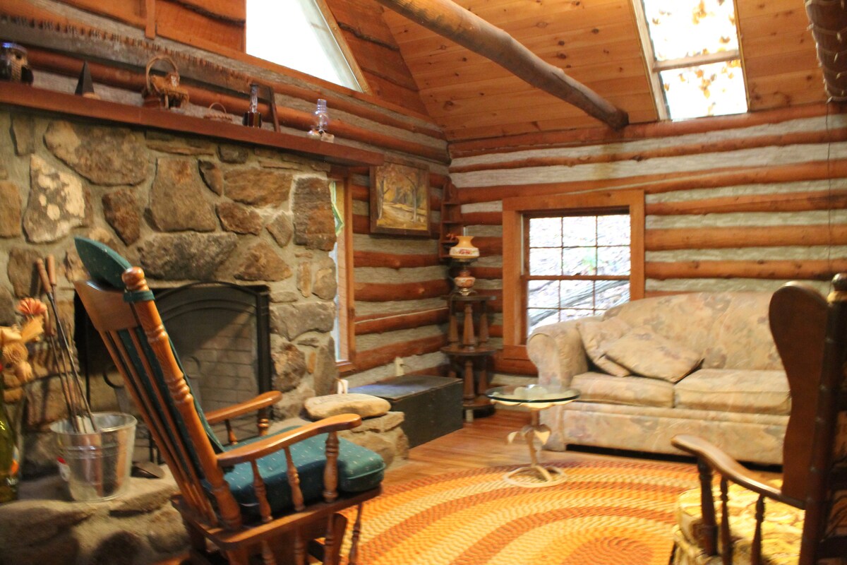 A rustic living area features a stone fireplace that complements the log cabin walls. Comfortable seating includes a floral-patterned couch and a rocking chair. Natural light filters through skylights and windows, illuminating a circular area rug on hardwood flooring.