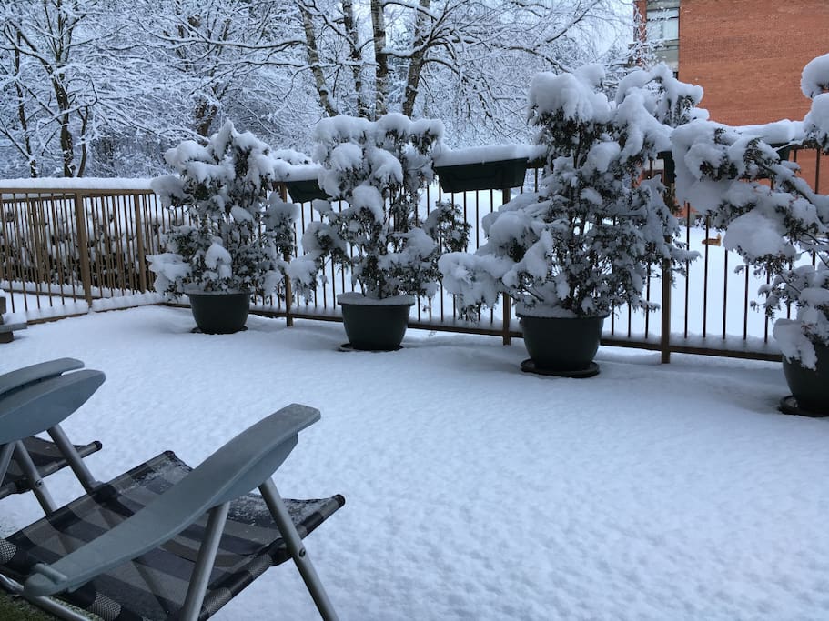 The Green in white