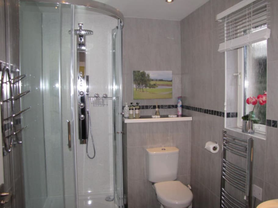 Shower Room with Power Shower and body jets