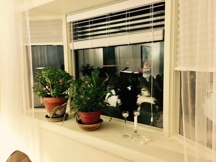 Bay windows throughout.