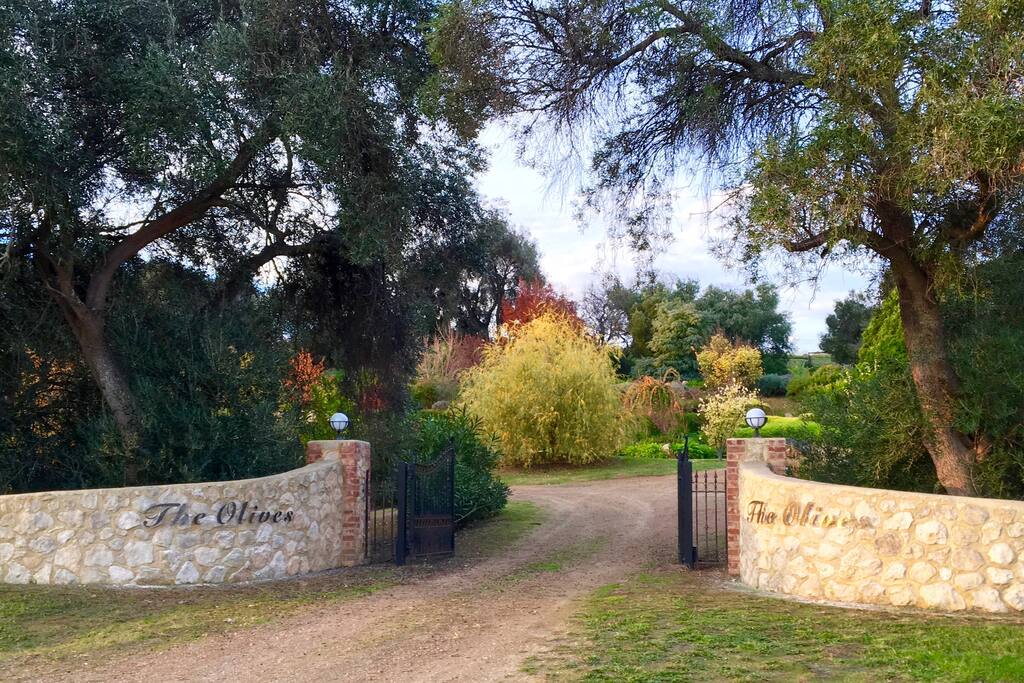 227 Salt Creek Road Yankalilla, SA - Entrance to The Olives
