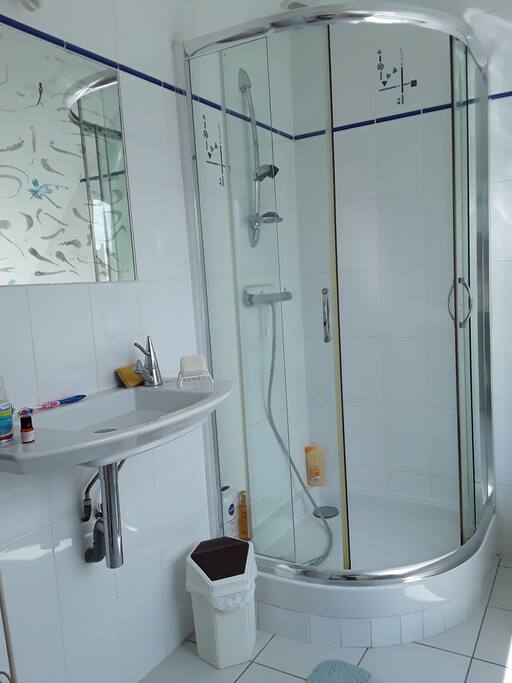Salle de bain (douche)