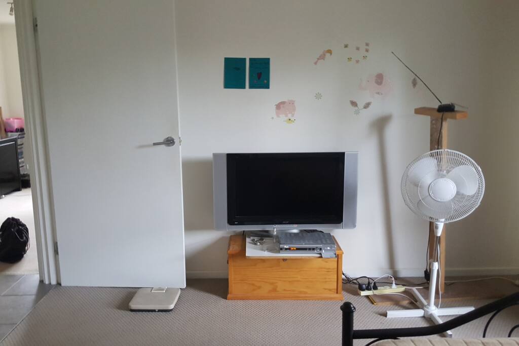 TV