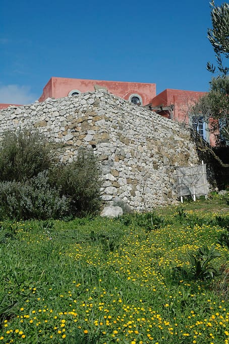 Terrace and house from lower field