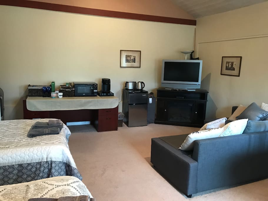 TV with internet connection (no cable), small appliances, electric fireplace and heater, mini fridge with small freezer, couch turns into full size bed