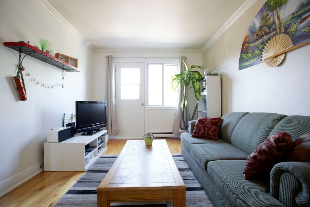 Salon lumineux muni d'un divan-lit queen size et de rideaux opaques. Télévision avec Netflix à votre disposition! Porte menant à un petit balcon meublé.