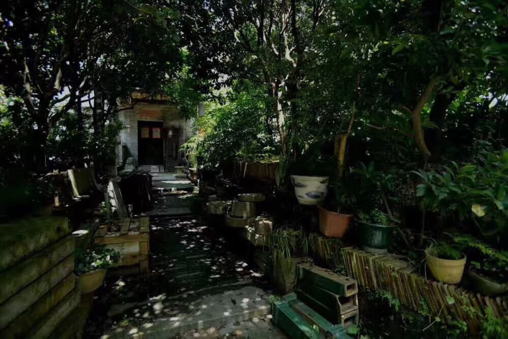 前庭后院占地200平方米,果树环绕,桂花飘香,光影婆娑