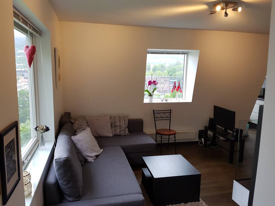 Living room: Enjoy the view of Mount Ulriken and the southern part of Bergen