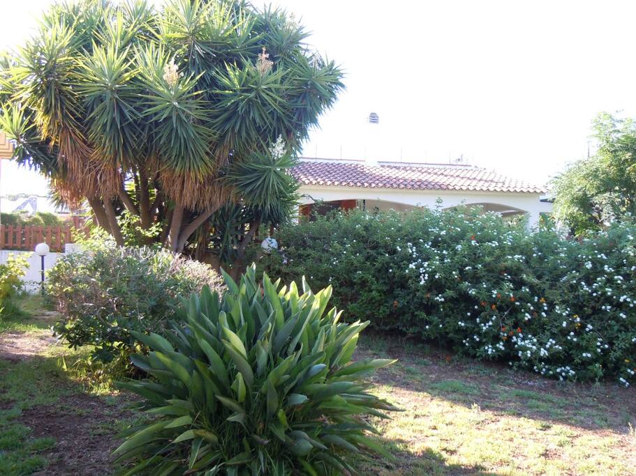giardino