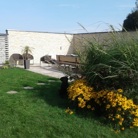 Bio near the Attersee