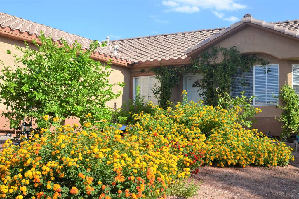 Front of house, View from the street.