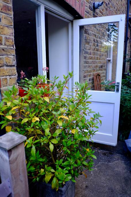Back door