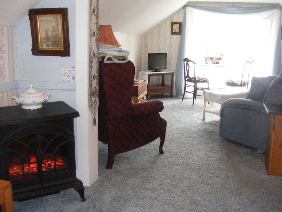 Large room with electric fireplace and living room.