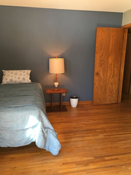 The second bedroom has a twin bed.