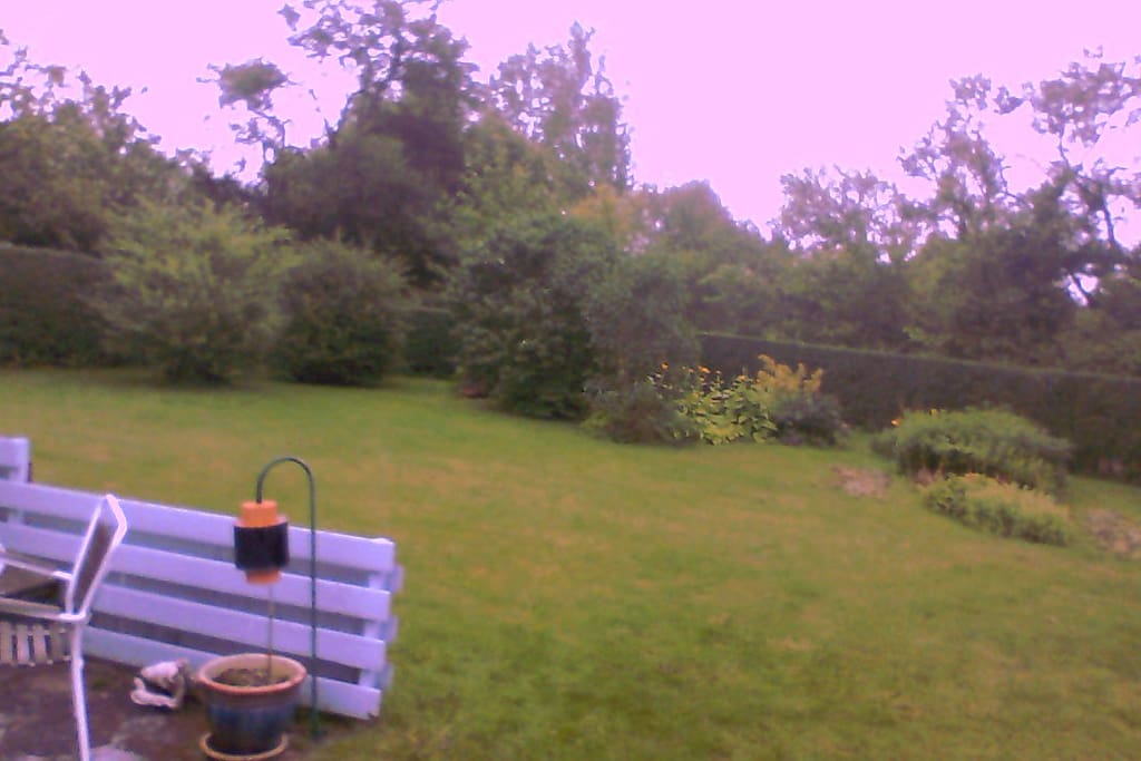 Part of the garden